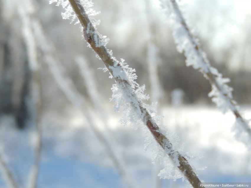 Весна Су Тенцинга — Куклы BTS (БТС) от Mattel: K