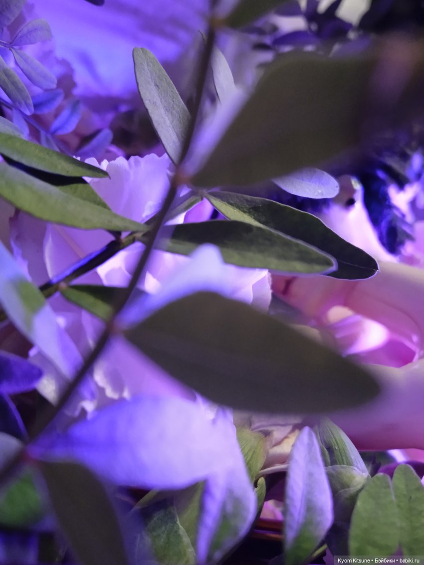 Букетик — Куклы BTS (БТС) от Mattel: K (фото 6)