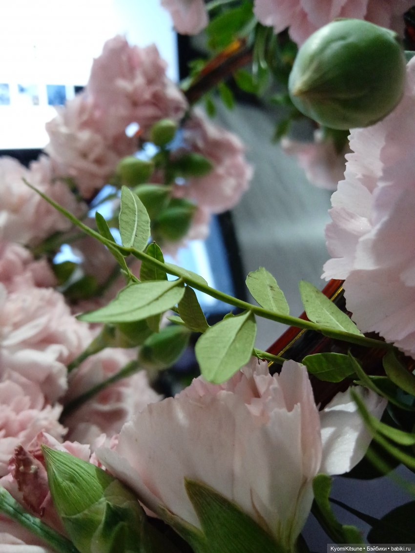 Букетик — Куклы BTS (БТС) от Mattel: K