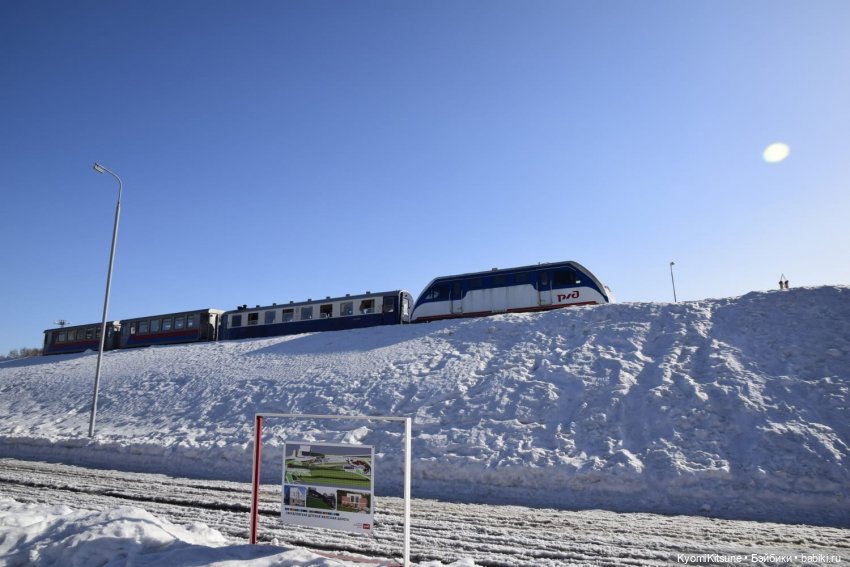 Архивы "хроник". Не всë коту maslenitsa или солнышко и веснушки