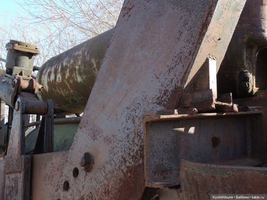 Архивы "хроник". Не всë коту maslenitsa или солнышко и веснушки