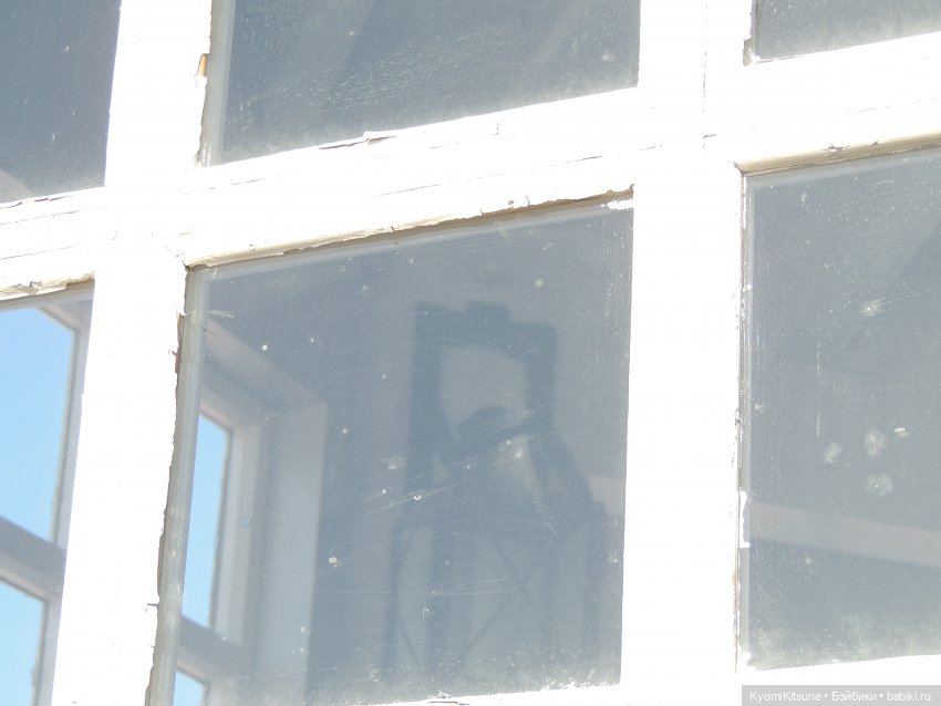 Архивы "хроник". Не всë коту maslenitsa или солнышко и веснушки