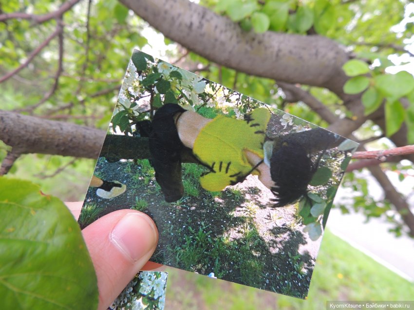 Гераневые мальчики — Куклы BTS (БТС) от Mattel: K