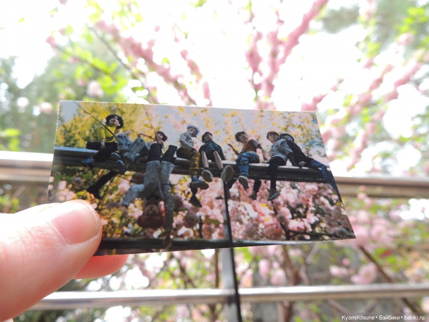 Гераневые мальчики — Куклы BTS (БТС) от Mattel: K (фото 7)