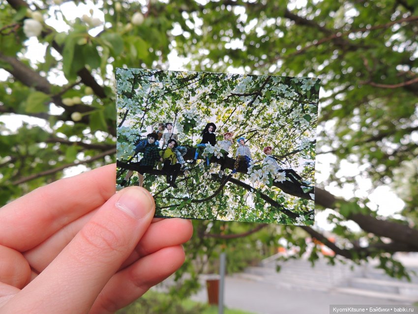 Гераневые мальчики — Куклы BTS (БТС) от Mattel: K