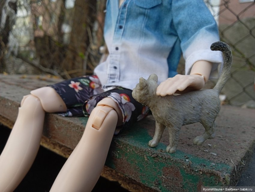 Паттайские дворы и котики (фото 6)