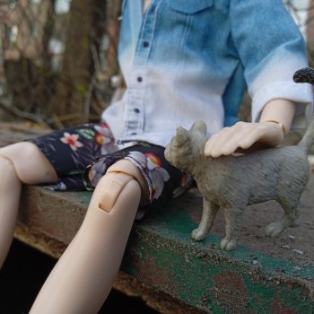 Паттайские дворы и котики