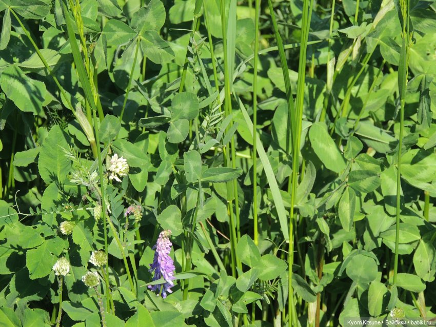 ADVNTURE едут искать adventures на свои эти самые