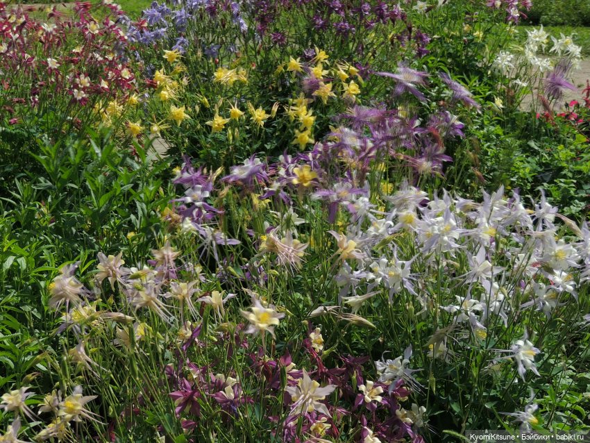 ADVNTURE едут искать adventures на свои эти самые