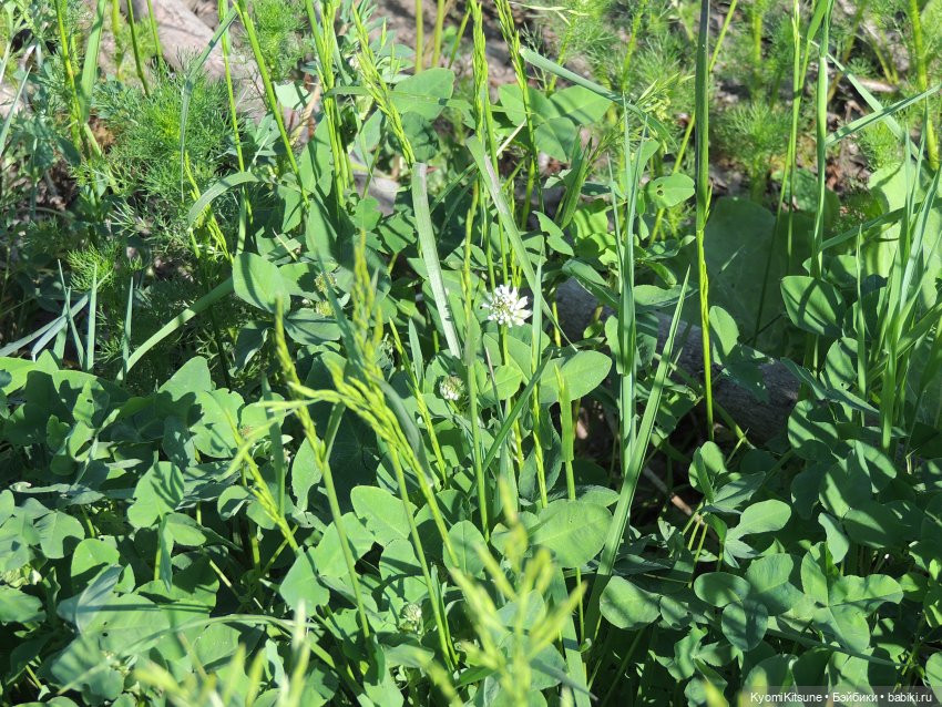 ADVNTURE едут искать adventures на свои эти самые