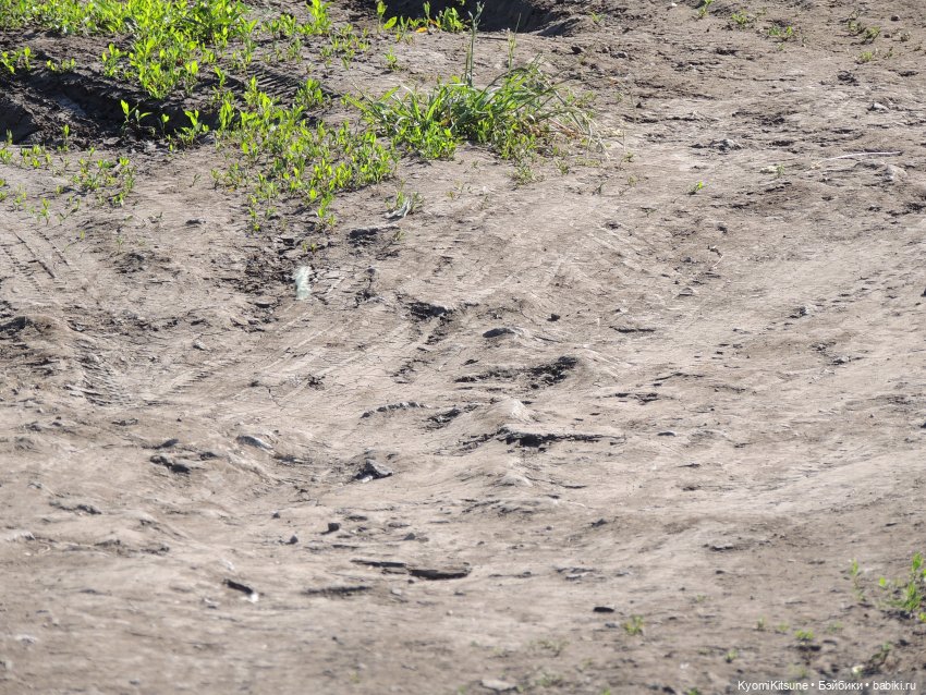 ADVNTURE едут искать adventures на свои эти самые