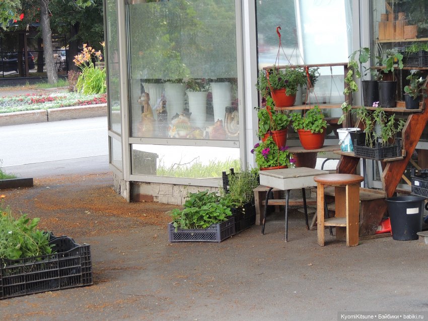 Следствие вели с Кëнилем Кинном