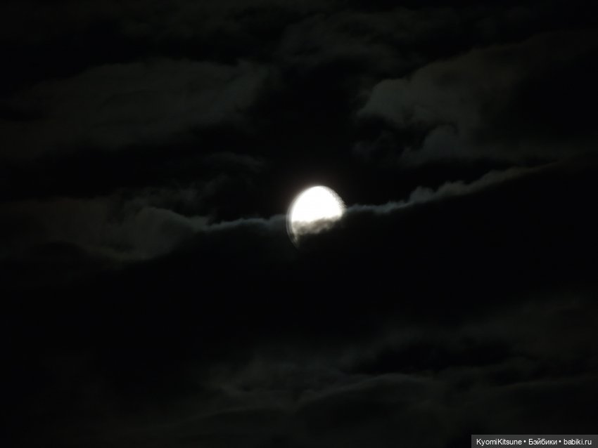 Все мои волки делают АУФ — Куклы BTS (БТС) от Mattel: K