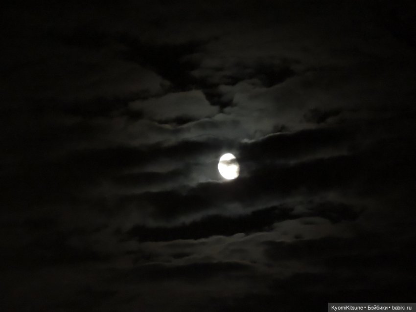 Все мои волки делают АУФ — Куклы BTS (БТС) от Mattel: K (фото 8)