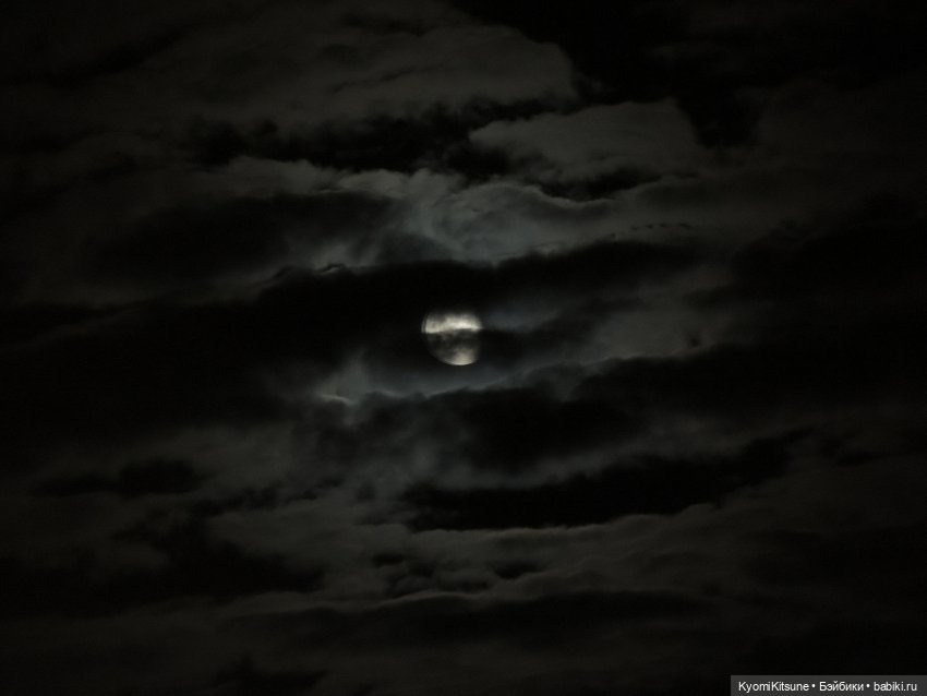 Все мои волки делают АУФ — Куклы BTS (БТС) от Mattel: K (фото 9)