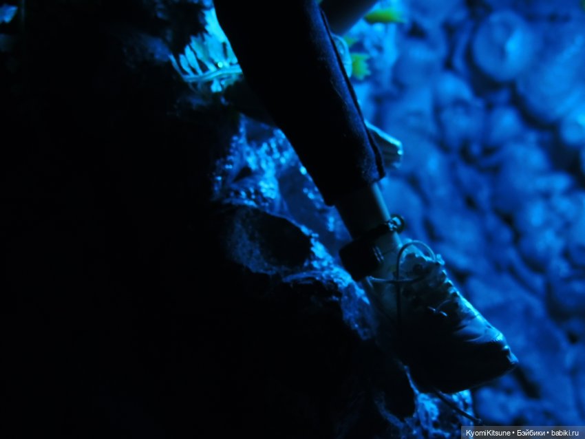 Музфест 2024. Fluorite - WOLFGANG