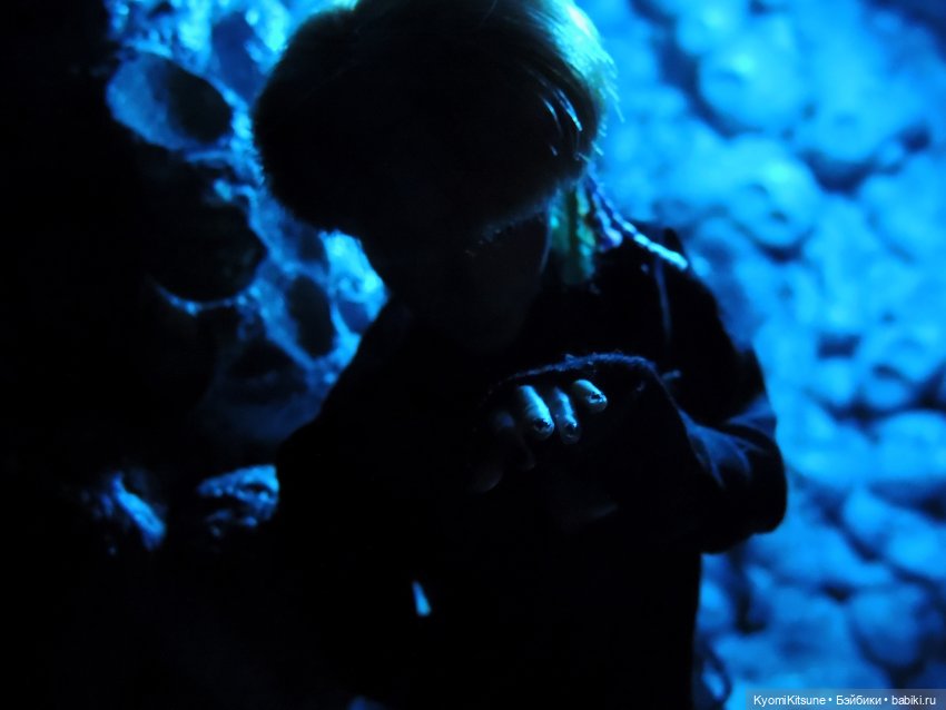 Музфест 2024. Fluorite - WOLFGANG