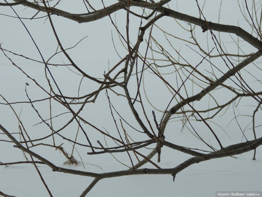 Что-то на аскетичном — Куклы BTS (БТС) от Mattel: K