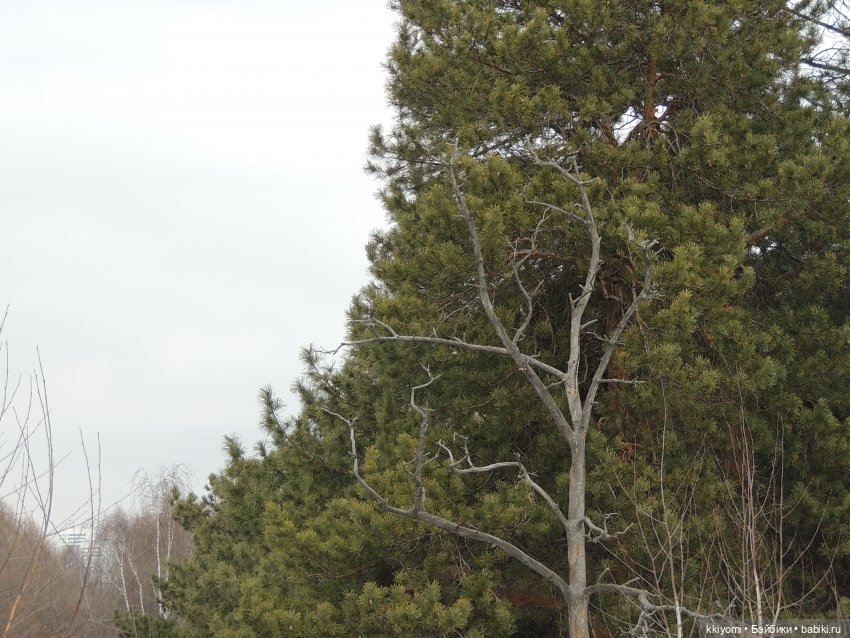 Что-то на аскетичном — Куклы BTS (БТС) от Mattel: K