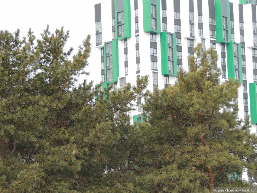 Что-то на аскетичном — Куклы BTS (БТС) от Mattel: K