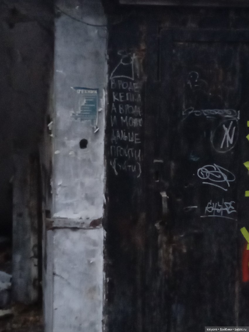 Бродячий кот в подворотнях🐈 (фото 4)