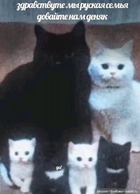 Прототипы Fluorite в реальной жизни