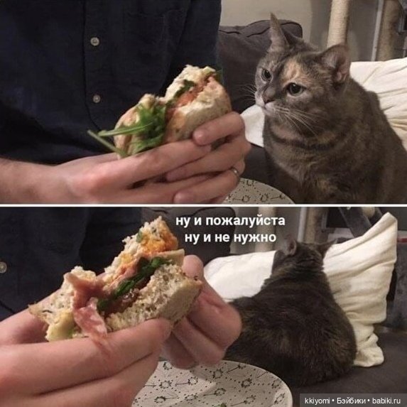 Прототипы Fluorite в реальной жизни (фото 4)