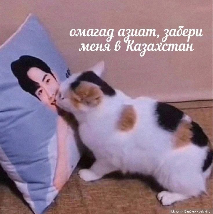 Прототипы Fluorite в реальной жизни