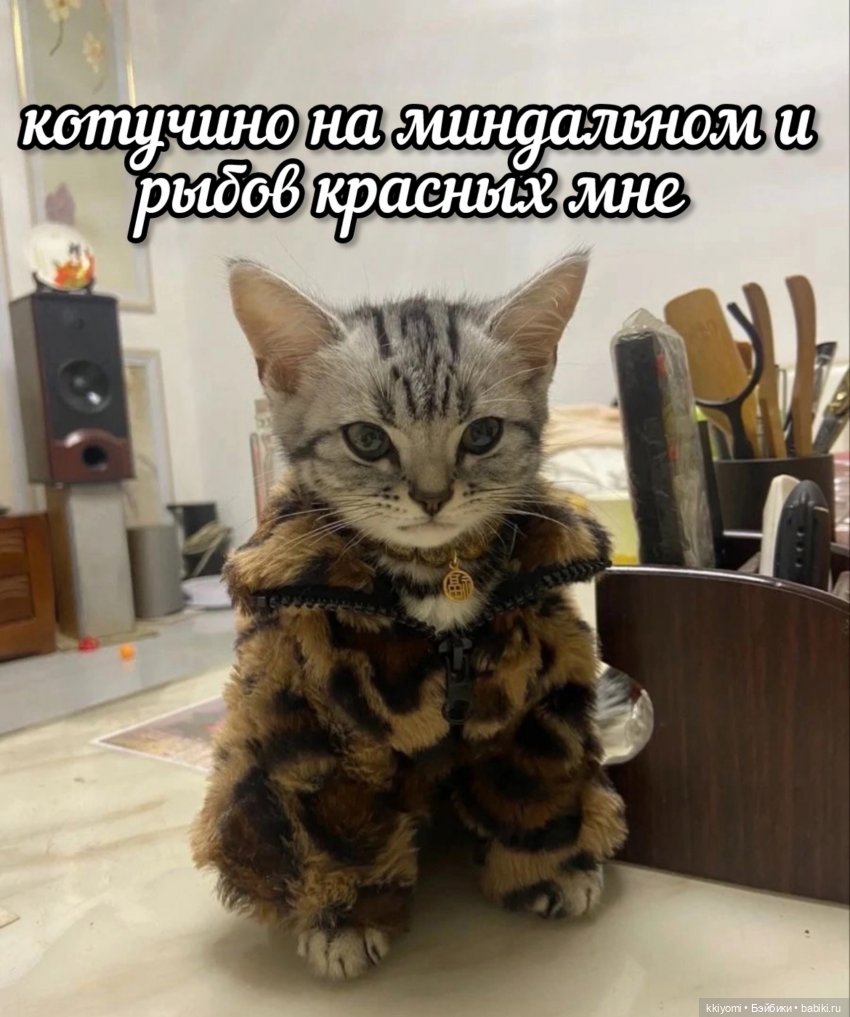 Прототипы Fluorite в реальной жизни