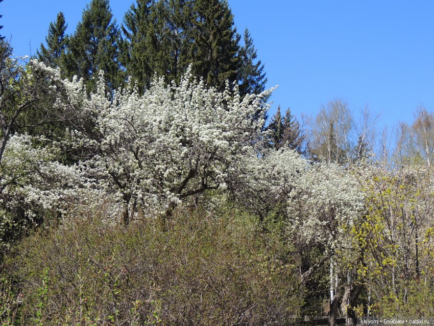 Жулики краше цветов — Куклы BTS (БТС) от Mattel: K (фото 9)