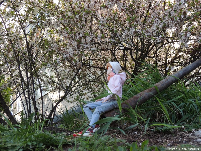 Цветы и булочки — Куклы BTS (БТС) от Mattel: K