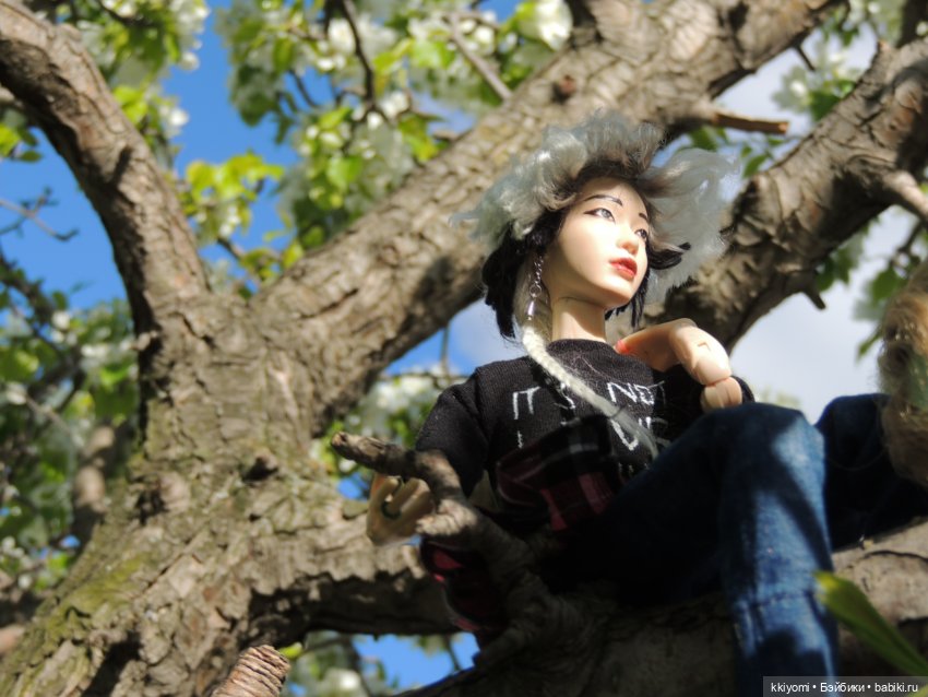 Снимите этого... с дерева (фото 2)