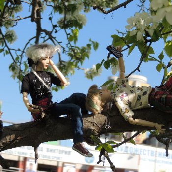 Снимите этого... с дерева