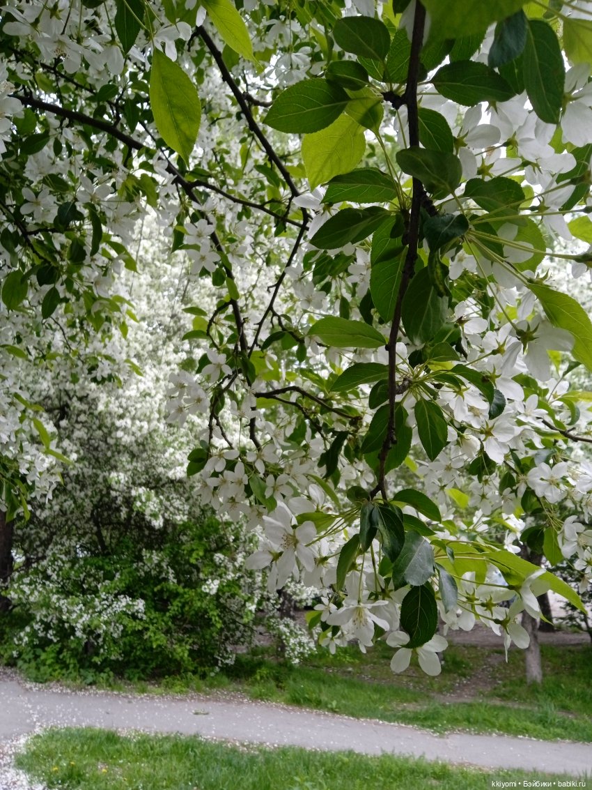 Переноска для шавермы — Куклы BTS (БТС) от Mattel: K (фото 7)