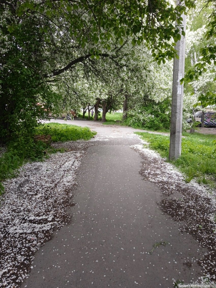 Переноска для шавермы — Куклы BTS (БТС) от Mattel: K (фото 5)