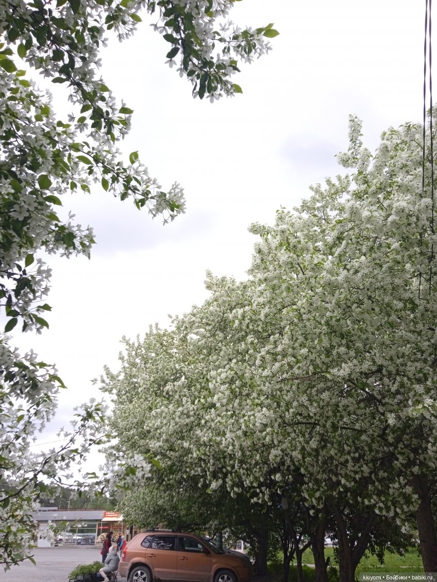 Переноска для шавермы — Куклы BTS (БТС) от Mattel: K (фото 8)