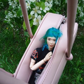 Переноска для шавермы