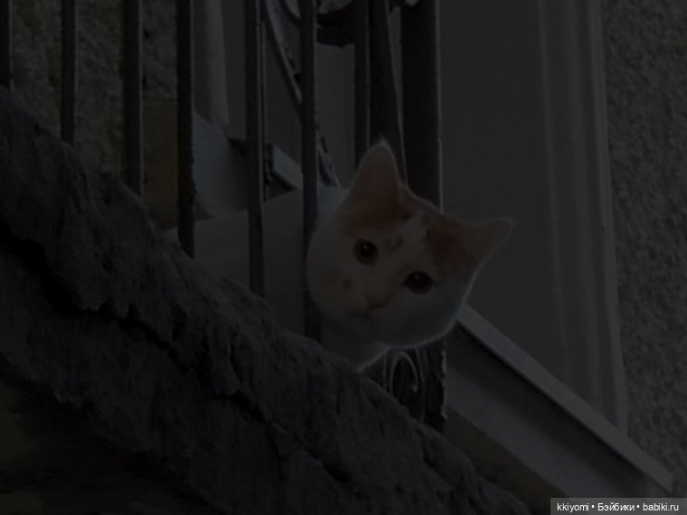 Себастьен и без охраны — Куклы BTS (БТС) от Mattel: K (фото 9)