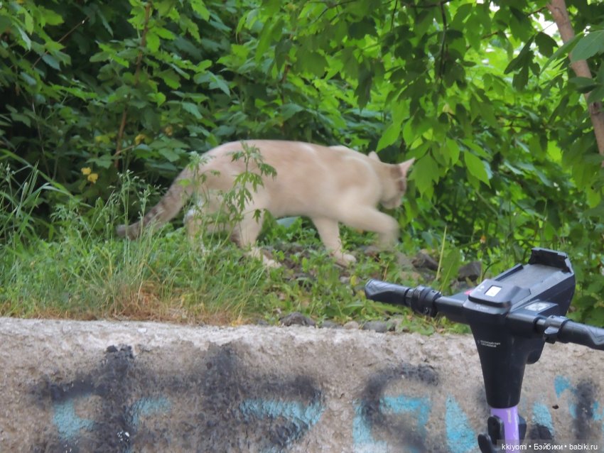 Себастьен и без охраны — Куклы BTS (БТС) от Mattel: K (фото 8)