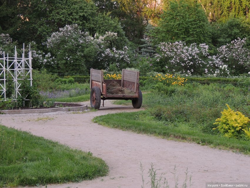 Цветуëчек🌸 в кустах или история одних штанов