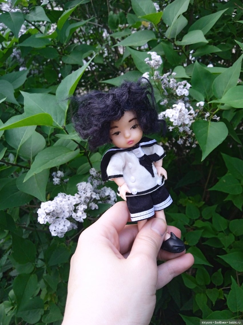 Только не в шиповный куст