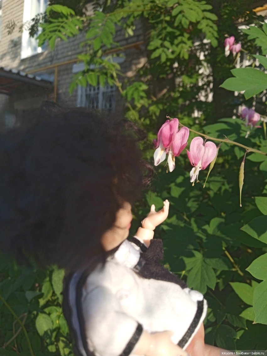 Только не в шиповный куст