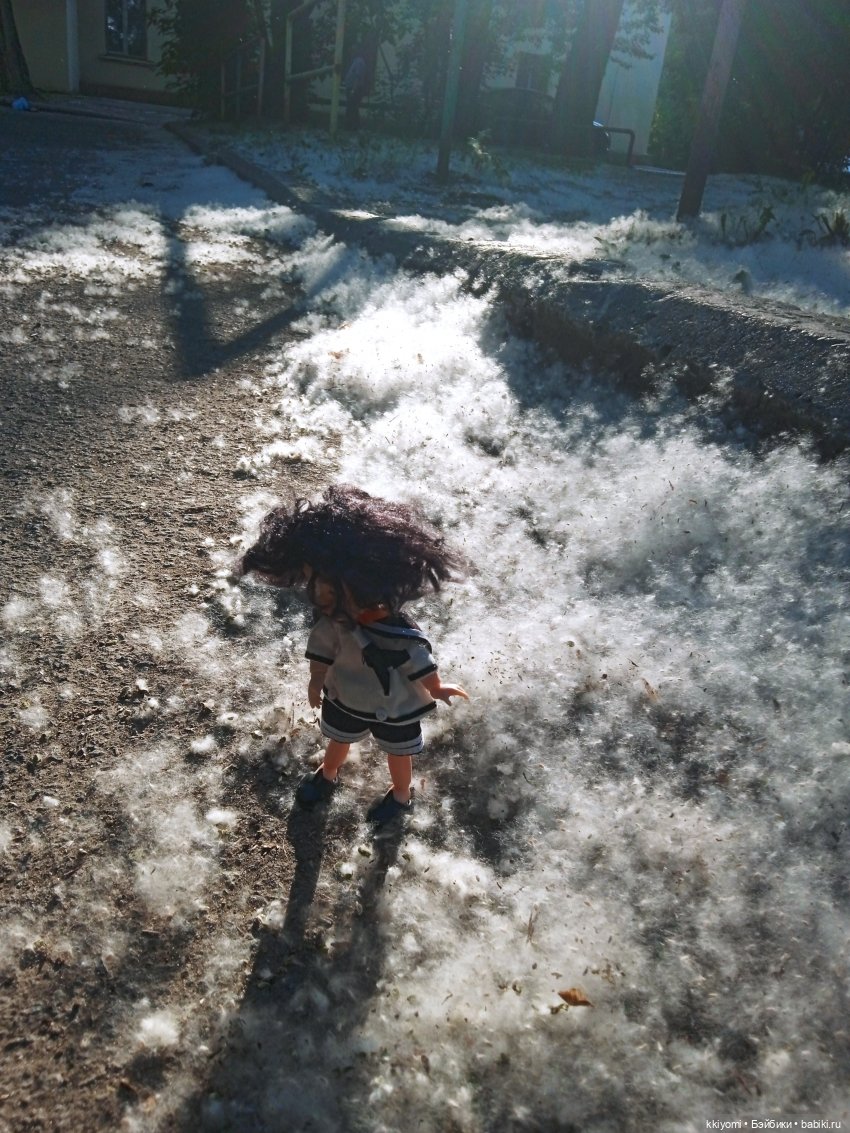 Только не в шиповный куст