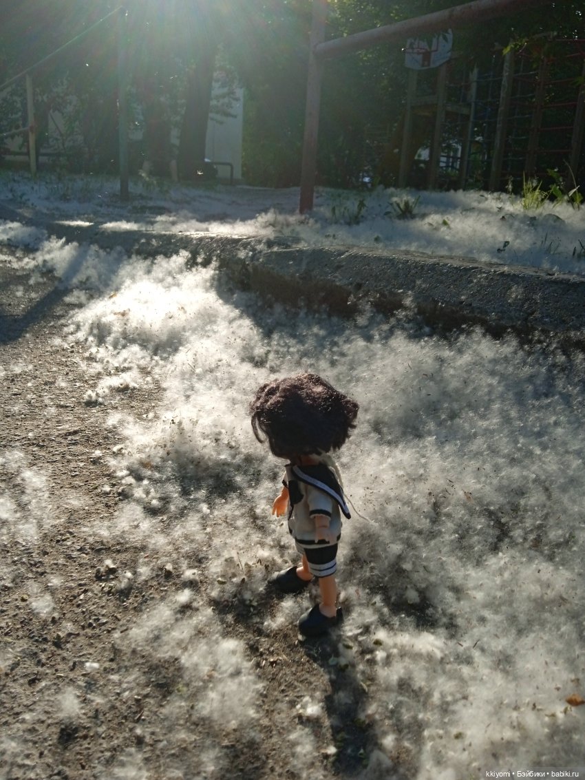 Только не в шиповный куст (фото 3)