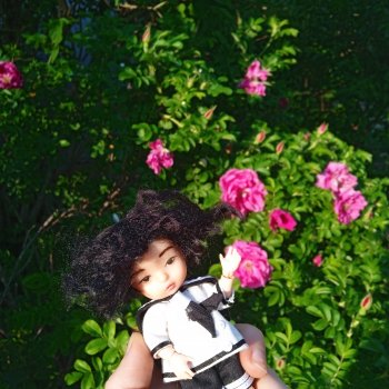 Только не в шиповный куст!