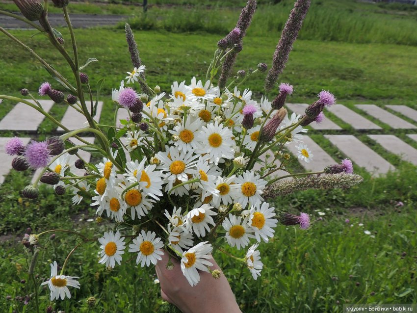 Gucci гольф или шикарные поля Академа