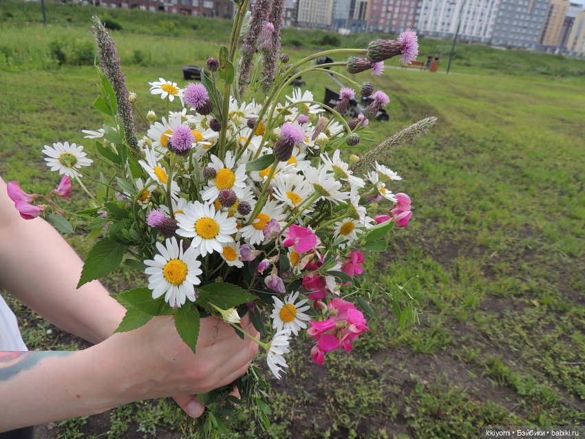 Gucci гольф или шикарные поля Академа