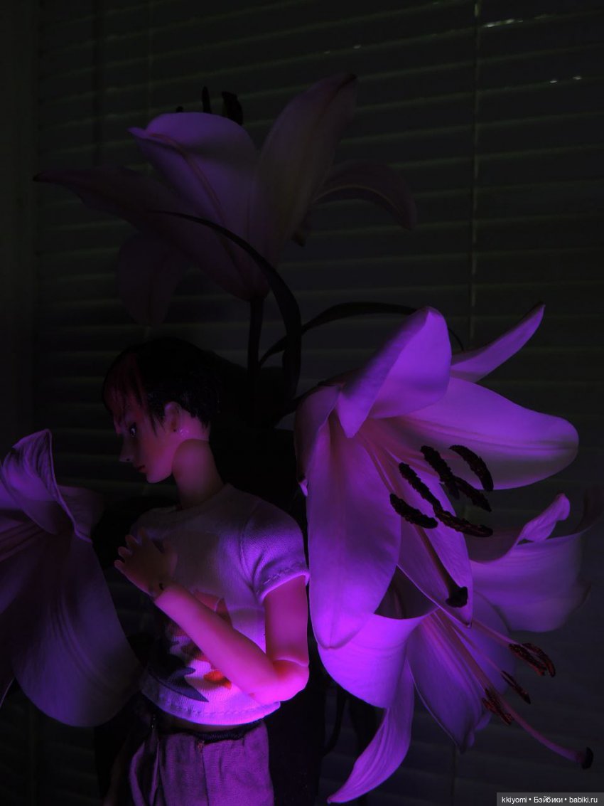 Ночной мотылёк — Домашние фото авторских кукол: личные коллекции (фото 2)