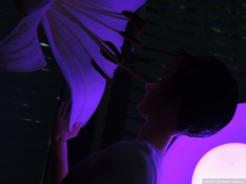 Ночной мотылёк — Домашние фото авторских кукол: личные коллекции (фото 5)