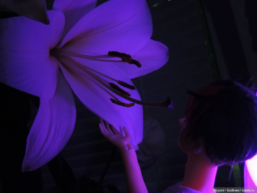 Ночной мотылёк — Домашние фото авторских кукол: личные коллекции (фото 3)